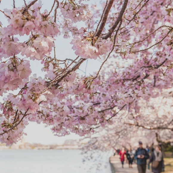 INC Faux Fur Lined Slippers Women's Size 11-12 Champagne Metallic Trend NWT - Picture 9 of 12